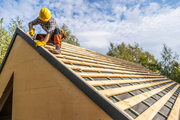 Best Storm Damage Roof Repair  in Sneedville, TN