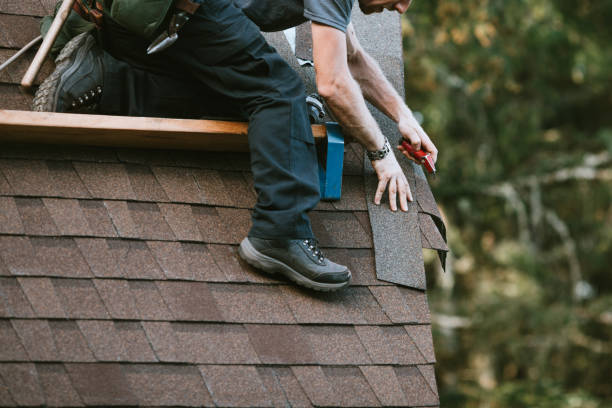 Best Storm Damage Roof Repair  in Sneedville, TN
